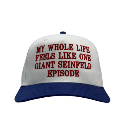 My Whole Life Feels Like One Giant Episode Custom Embroidered Hat