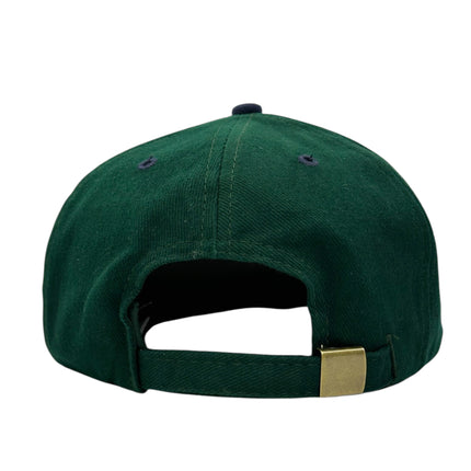 I GOT WASTED AT Applebees my Vintage Mid Green Crown Funny Strapback Cap Hat Custom Embroidered